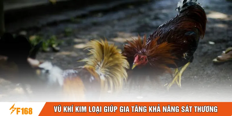 Vũ khí kim loại giúp gia tăng khả năng sát thương